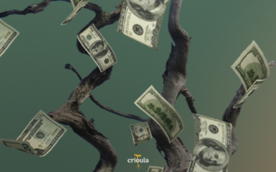 Dinheiro não dá em árvore? | Conheça o Babaçu