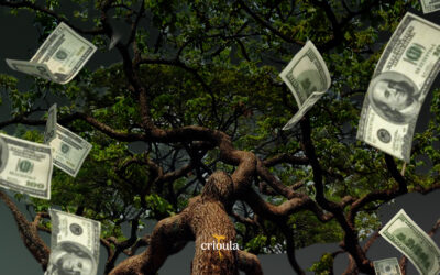 Dinheiro dá em Árvore  | Conheça o Pequi