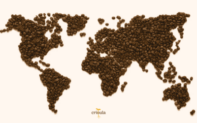 Café: uma volta ao mundo