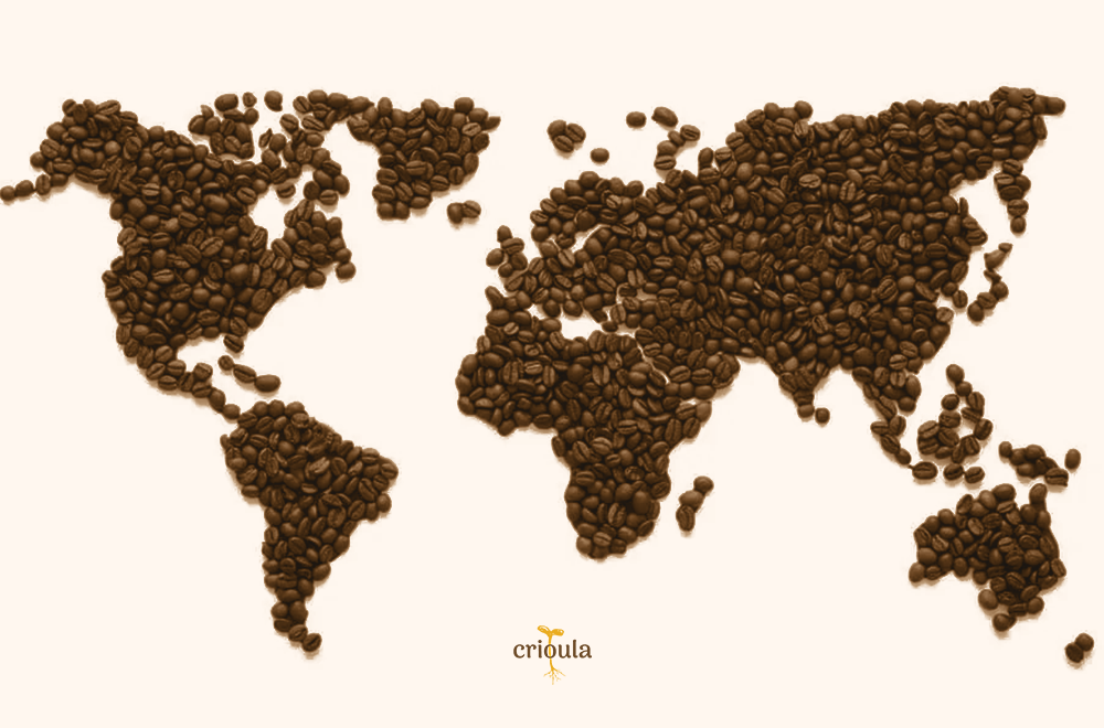 Café: uma volta ao mundo