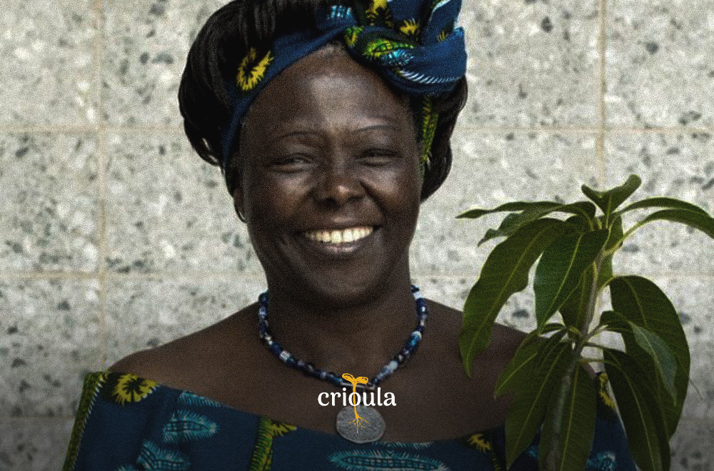 Plantando a regeneração – conheça a primeira mulher africana a ganhar o Prêmio Nobel da Paz